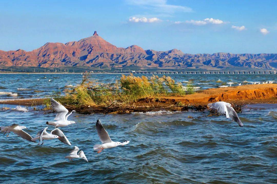 乌海,致敬领导与同胞的团结盛会